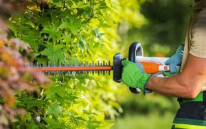 Hedge Trimmer