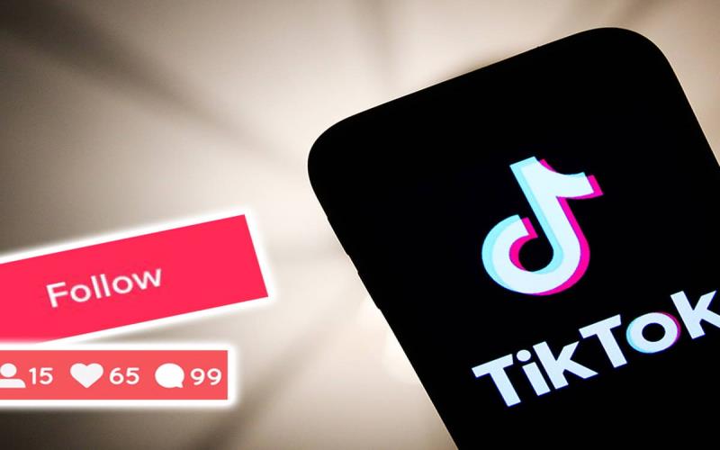 How Long Does It Take for Purchased Views to Reflect on My TikTok Video
