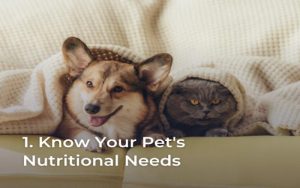 Top 7 Health Tips Every Fur Parent Should Know