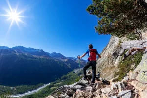 Summer in the Mountains